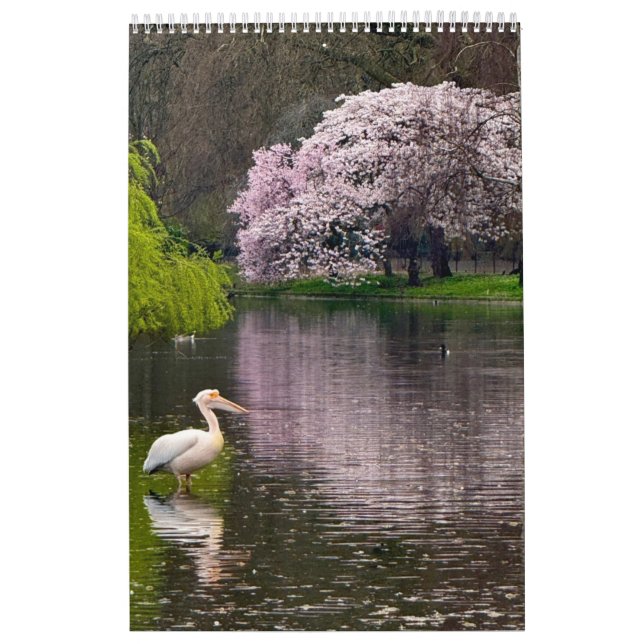Calendário St James's Park, London  (Capa)