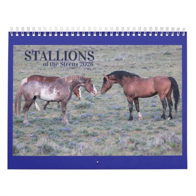 Calendário "Stallions" MustangWild 2026 (Capa)
