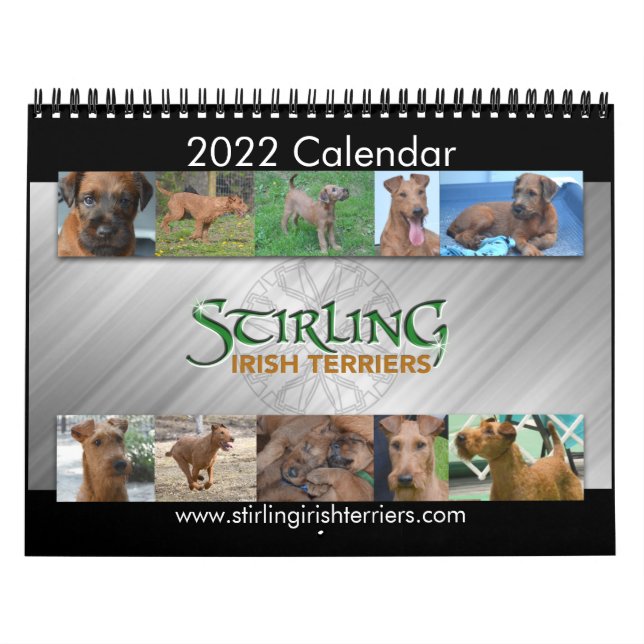 Calendário Stirling Irish Terriers 2022 Calendar (Capa)
