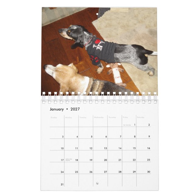 Calendário Stormi 2012 (Jan 2027)