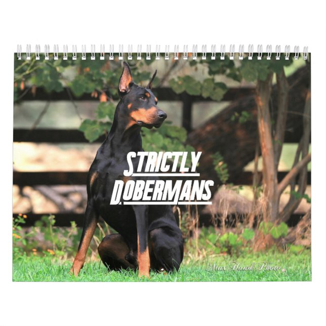 Calendário Strictly Dobermans 2026 (Capa)