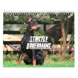 Calendário Strictly Dobermans Calendar 2026