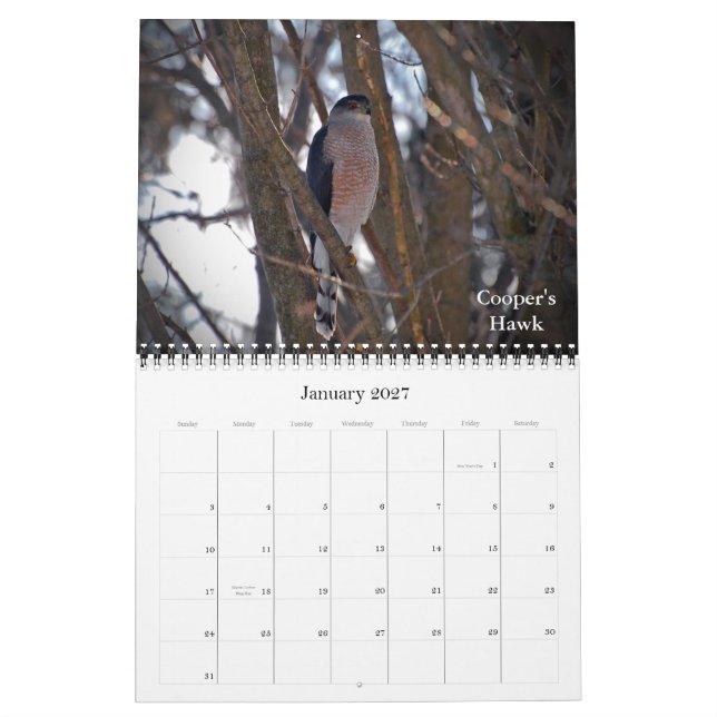 Calendário Subir às alturas novas (Jan 2027)