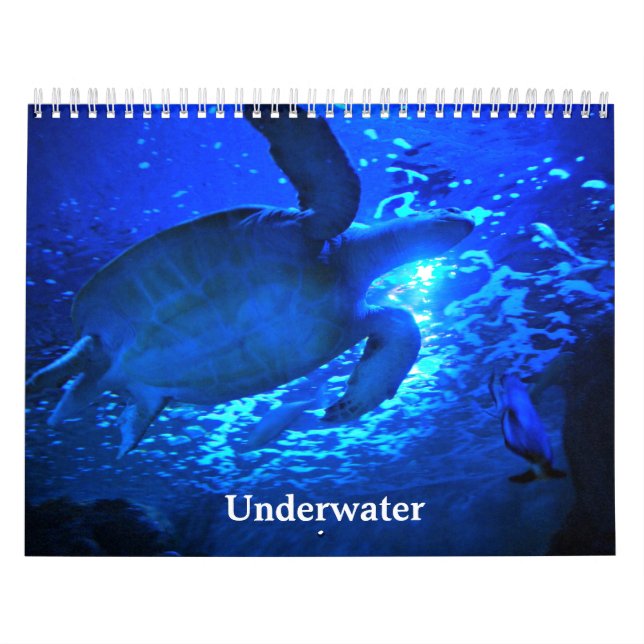 Calendário Submarino (Capa)