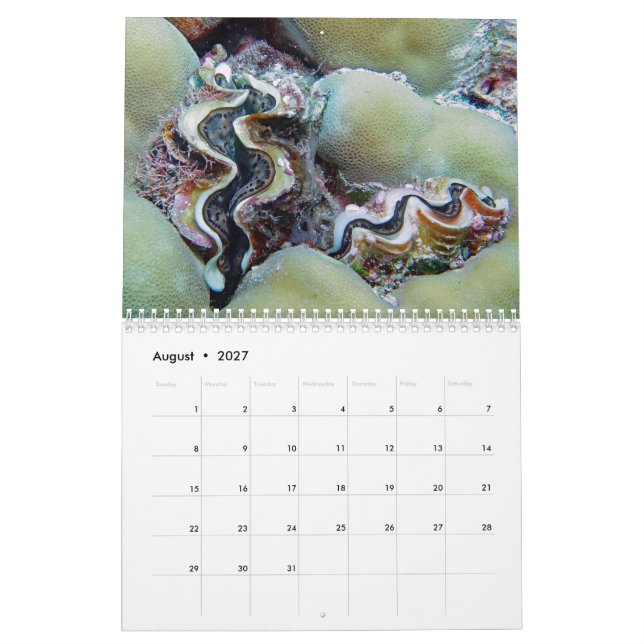 Calendário Submarino - Palau (Ago 2027)
