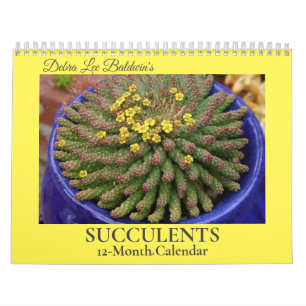 Calendário Suculentos de Debra Lee Baldwin - 2 12 meses