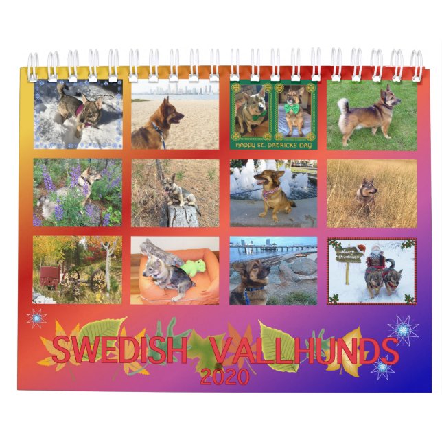 Calendário sueco do Vallhund 2020 (Verso)
