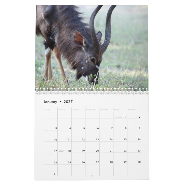 Calendário Sul - animais africanos (Jan 2027)