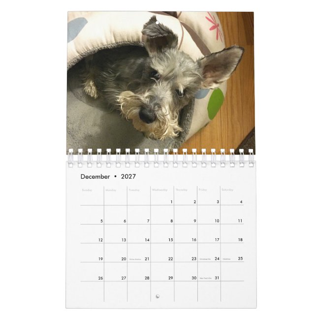 Calendário super de Owen 2016 (Dez 2027)