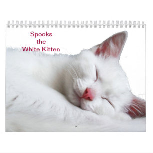 CALENDÁRIO SUSTOS O GATINHO BRANCO - CALLENDER