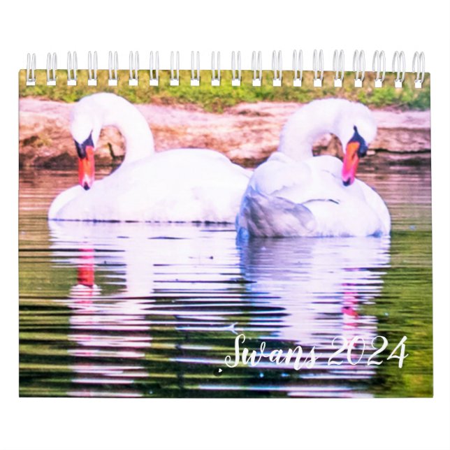 Calendário Swan 2024 (Capa)