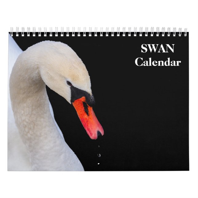 Calendário Swan 2025 (Capa)