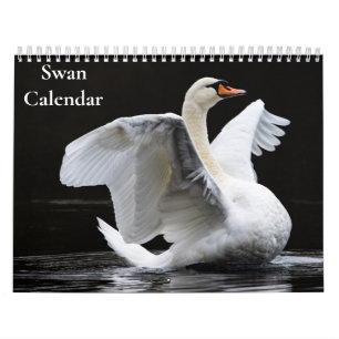 Calendário Swan 2025