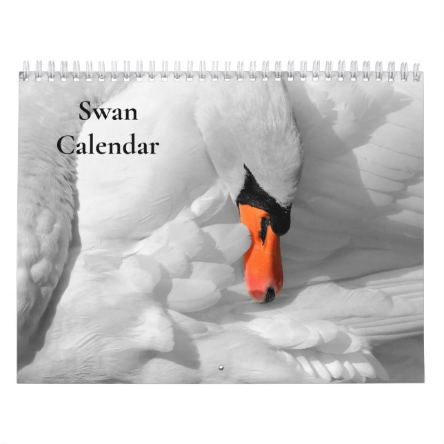 Calendário Swan 2025 (Capa)