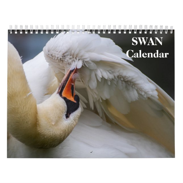 Calendário Swan 2025 (Capa)