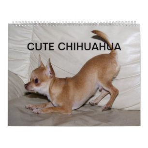 Calendário Sweet Little Chihuahua 2022