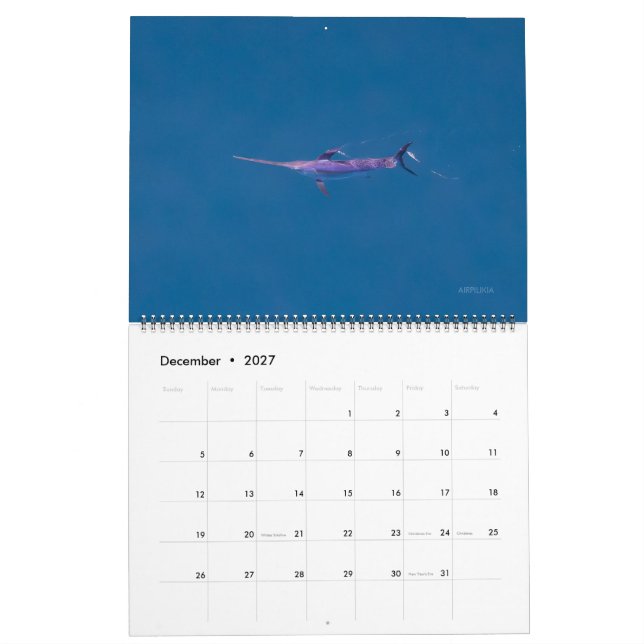 Calendário Swordfish Only Calendar 2026 (Dez 2027)
