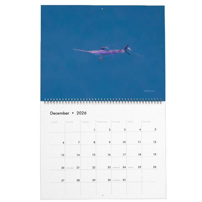 Calendário Swordfish Only Calendar 2026 (Dez 2026)