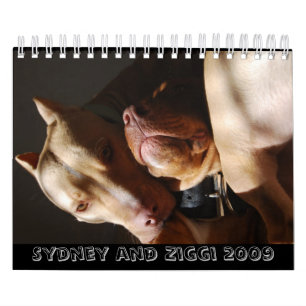 Calendário Sydney e Ziggi 2009