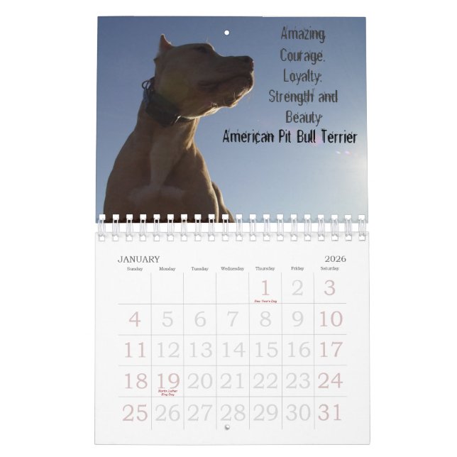 Calendário Sydney e Ziggi 2009 (Jan 2026)