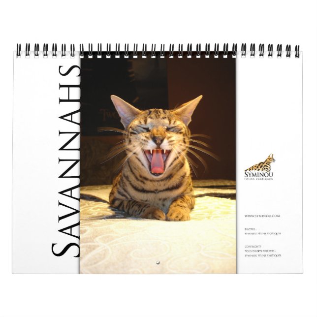 calendário Syminou 2018 Savannah Cat (Capa)