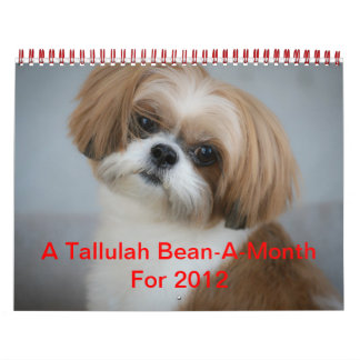 Calendário Tallulah Bean Calendar Cute Shih Tzu