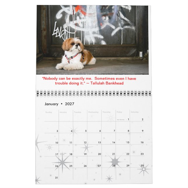 Calendário Tallulah Bean Calendar Cute Shih Tzu 2014 (Jan 2027)
