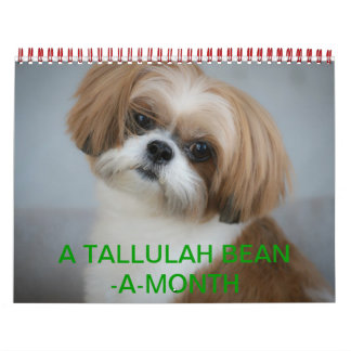 Calendário Tallulah Bean Calendar Cute Shih Tzu 2014