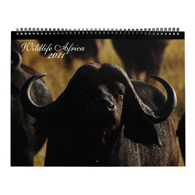 Calendário Tamanho enorme de 2011 animais africanos dos (Capa)