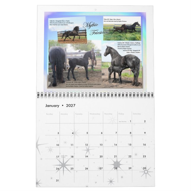 Calendário Tamanho padrão da foto do cavalo do frisão (Jan 2027)