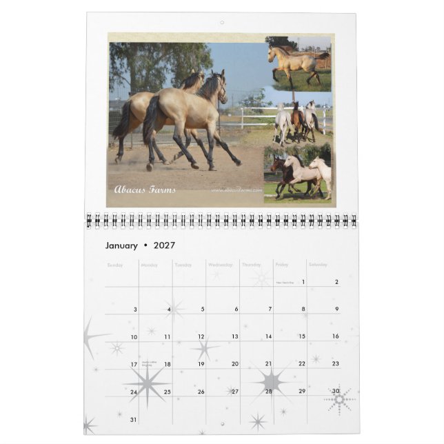 Calendário Tamanho padrão do cavalo da herança do frisão (Jan 2027)
