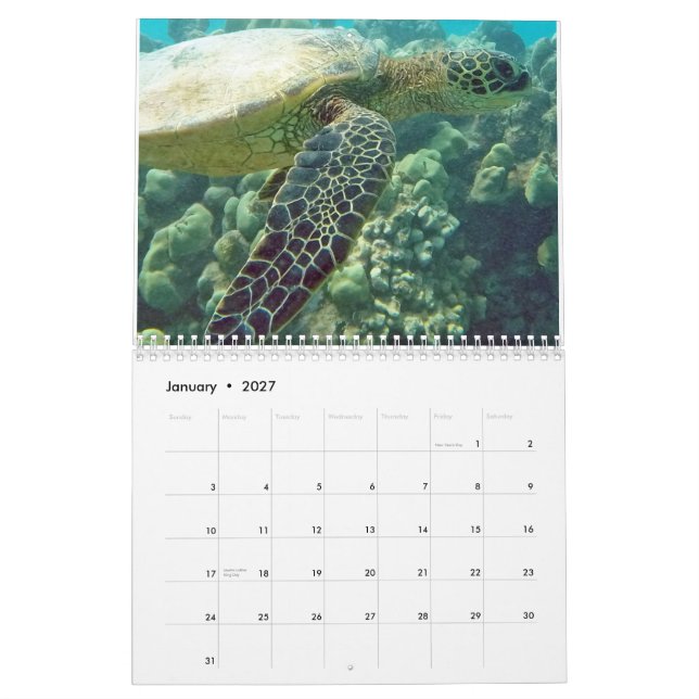 Calendário Tartarugas do Havaí (Jan 2027)