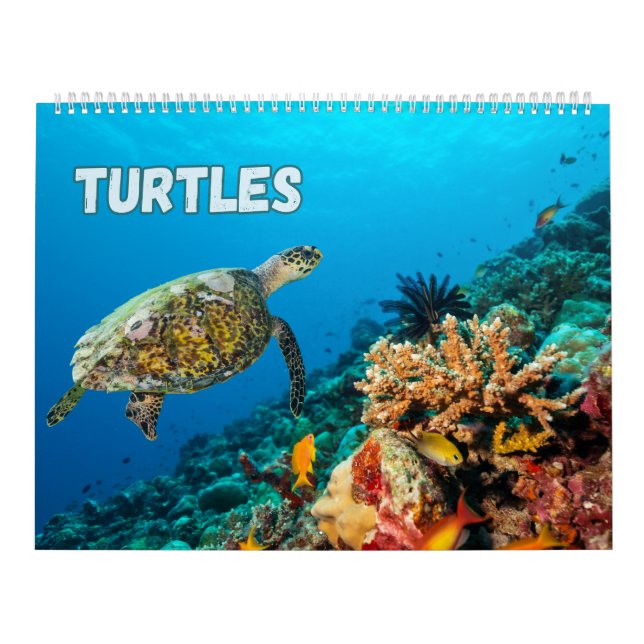 Calendário Tartarugas marinhas e tartarugas (Capa)
