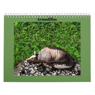 Calendário Tatus