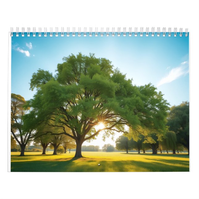 Calendário Tempo Tranquilo Com uma Grande Árvore  (Capa)