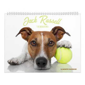 Calendário Terriers Jack Russell