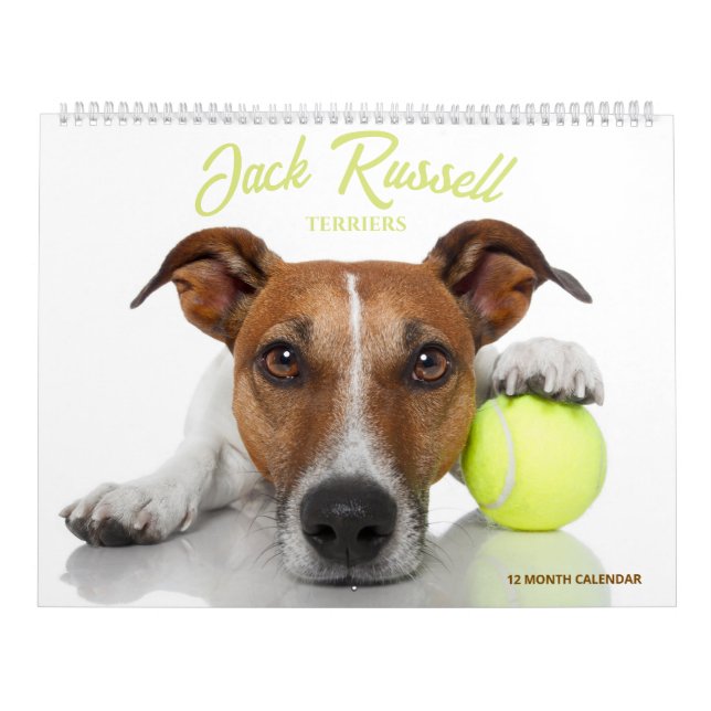 Calendário Terriers Jack Russell (Capa)