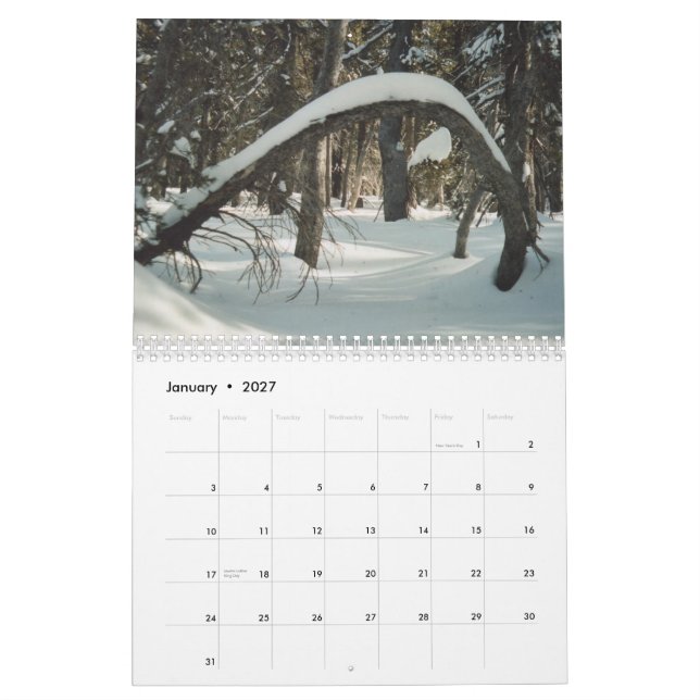 Calendário Tesouros escondidos 2011 (Jan 2027)