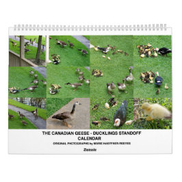 CALENDÁRIO THE *CANADIAN GEESE* - *DUCKLINGS* STANDOFF 2026