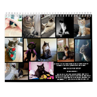Calendário The Daily Mews, Cat Charity Calendar 2025