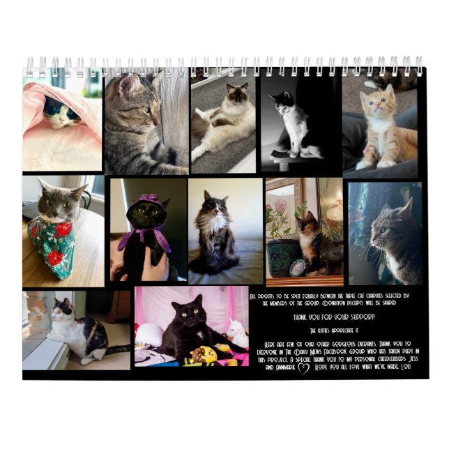 Calendário The Daily Mews, Cat Charity Calendar 2025 (Verso)