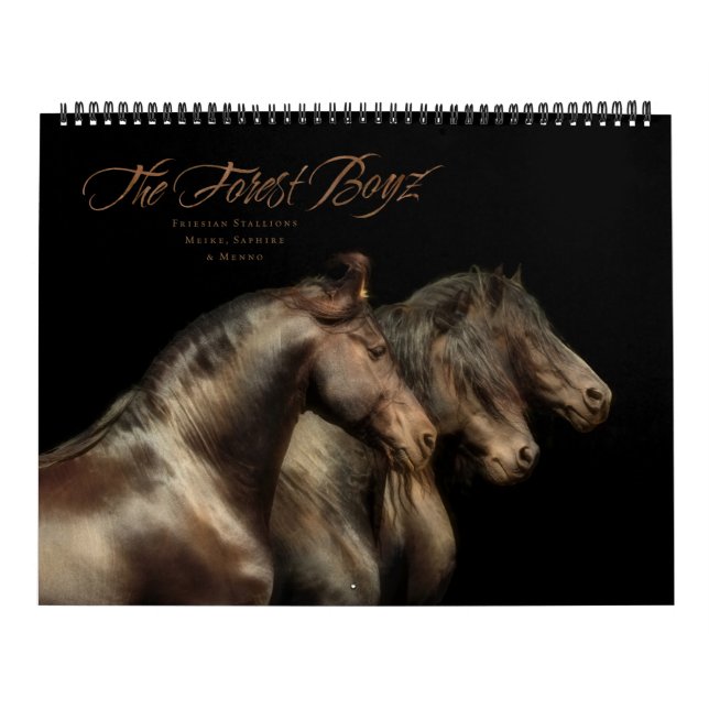 Calendário The Forest Boyz - Combatentes da Liberdade (Capa)