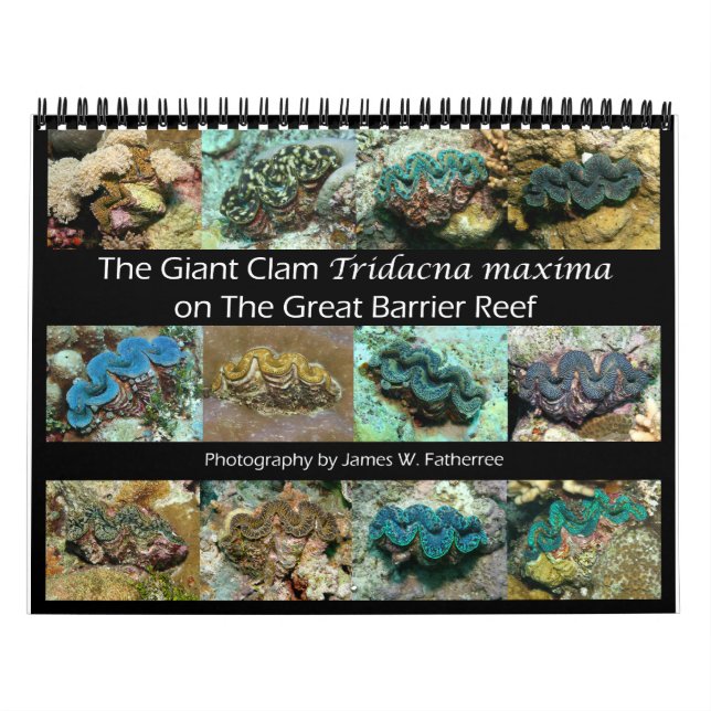 Calendário The Giant Clam Tridacna maxima por J.W. Pai. (Capa)