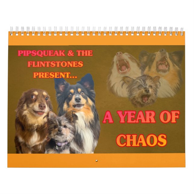 Calendário The Whole Gang (Capa)