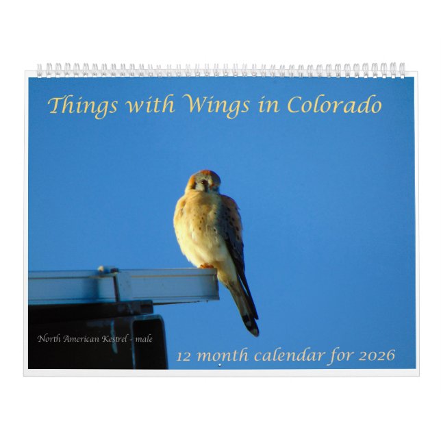 Calendário Things with Wings: A Wildlife Photography Calendar (Capa)