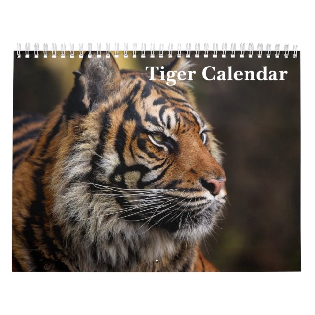 Calendário Tiger Wild Animal 2025 (Capa)