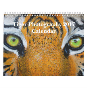 Calendário Tigre Fotografia Selvagem Animal 2017