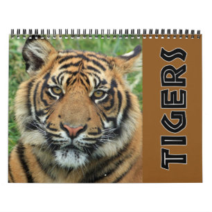 Calendário Tigre Selvagem 2026