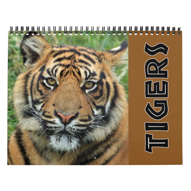 Calendário Tigre Selvagem Atual (Capa)