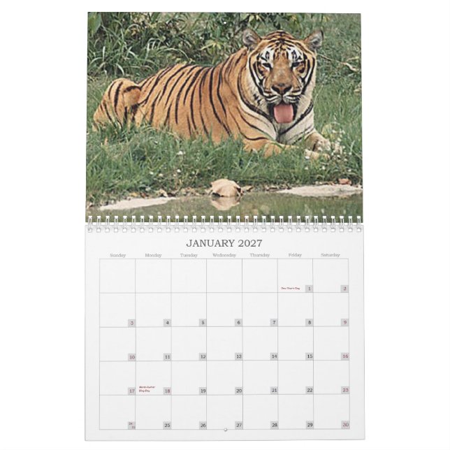 Calendário Tigres (Jan 2027)